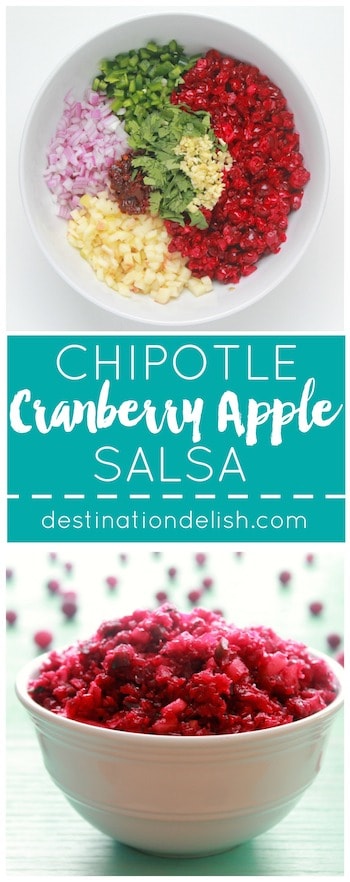 Chipotle Cranberry Apple Salsa | Destination Delish