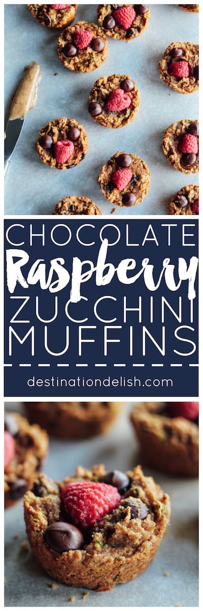 Chocolate Raspberry Zucchini Muffins | Destination Delish - soft and gooey muffins topped with chocolate and raspberries. Made luscious with almond butter and coconut flour. gluten-free, grain-free, dairy-free, and egg free