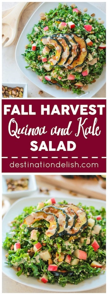 Fall Harvest Quinoa and Kale Salad