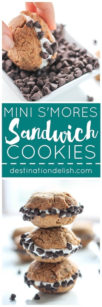 Mini S'mores Sandwich Cookies | Destination Delish 